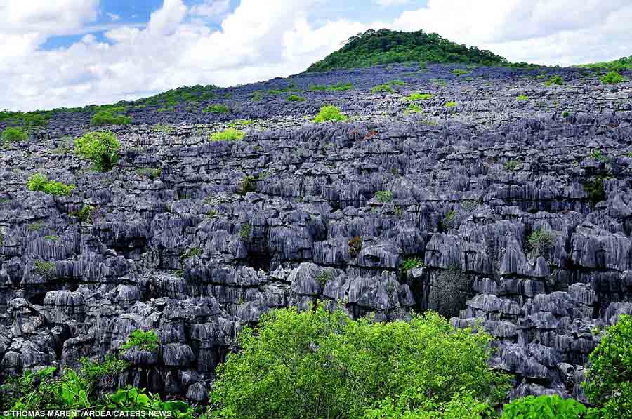 Ankarana, Madagascar (Photo Source: cnr.com)