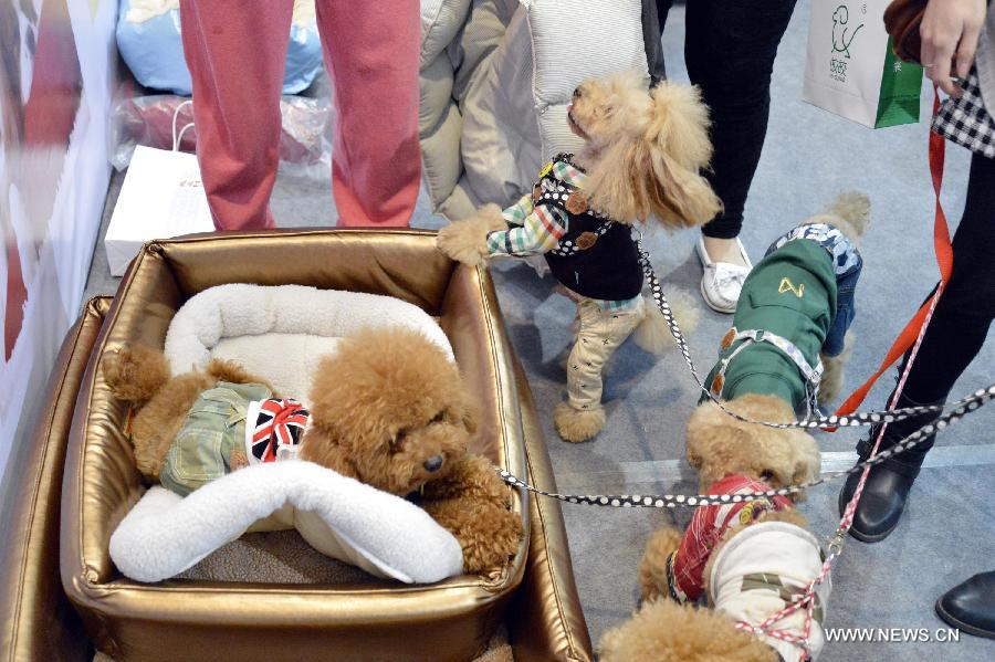 Pet owners buy pet products during the 2012 China(Hangzhou) Pets Cultural Festival in Hangzhou, capital of east China's Zhejiang Province, Nov. 16, 2012. The three-day festival opened here on Friday. (Xinhua/Shi Jianxue) 