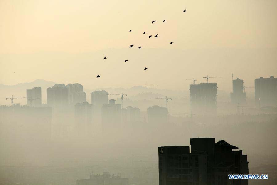 Photo taken on Nov. 17, 2012 shows buildings shrouded by dense fog in Chongqing, southwest China. (Xinhua/Luo Guojia)  