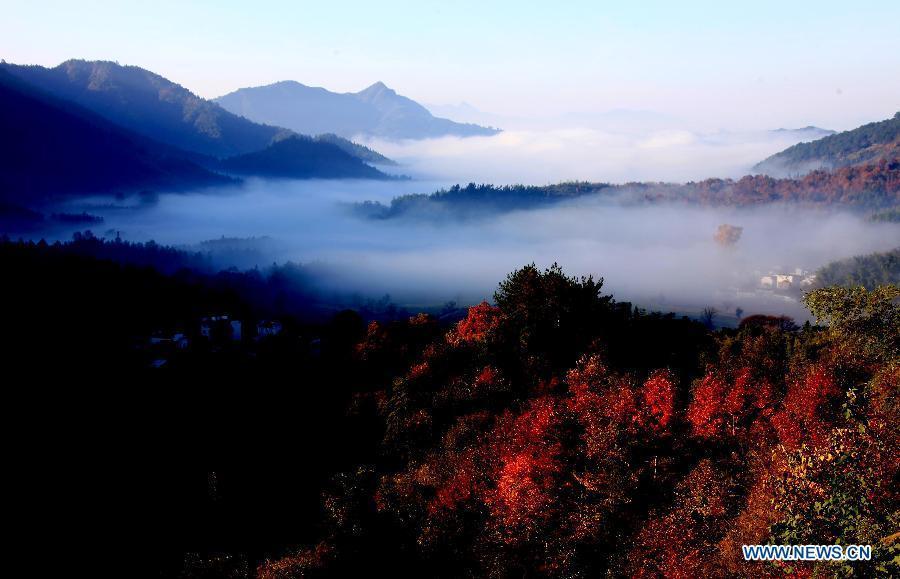 Photo taken on Nov. 19, 2012 shows fog-covered countryside residences in Tachuan Village, Huangshan, east China's Anhui Province. (Xinhua/Shi Guangde) 