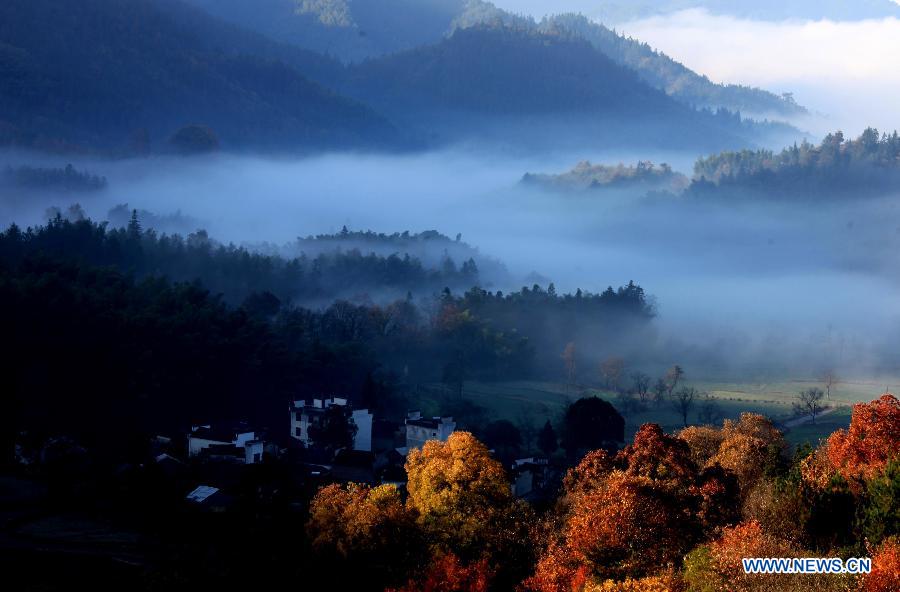 Photo taken on Nov. 19, 2012 shows fog-covered countryside residences in Tachuan Village, Huangshan, east China's Anhui Province. (Xinhua/Shi Guangde) 