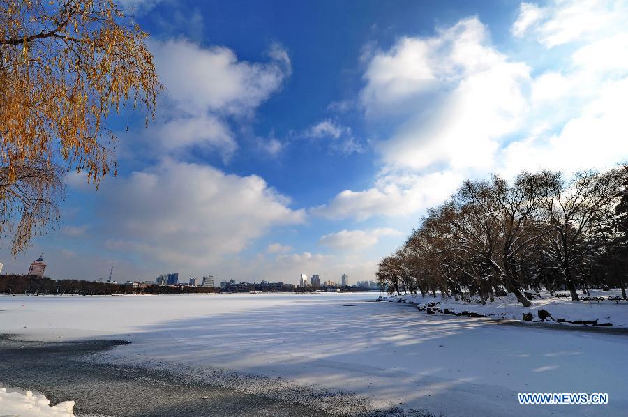 Photo taken on Nov. 19, 2012 shows the scenery after the snowfall in Changchun, capital of northeast China's Jilin Province. (Xinhua/Zhang Nan) 