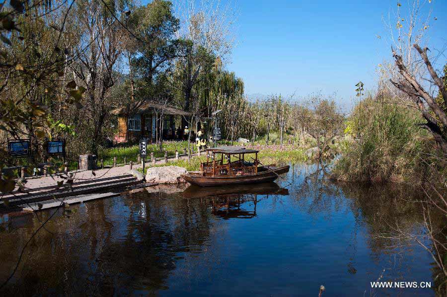 Photo taken on Nov. 20, 2012 shows the scenery of the wetland park at the Qionghai Lake in Xichang City, southwest China's Sichuan Province, Nov. 20, 2012. The Qionghai wetland park attracted many visitors this winter. (Xinhua/Liu Chan) 