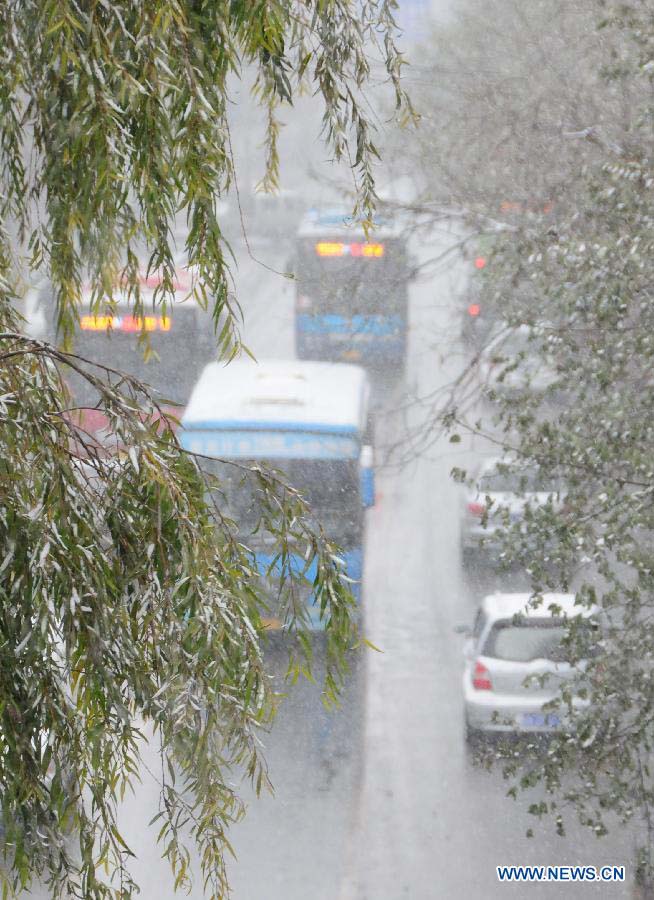Vehicles move in snow in Lanzhou, capital of northwest China's Gansu Province, Nov. 22, 2012. The province was hit by snow and temperature decrease on Thursday.(Xinhua/Fan Peishen) 