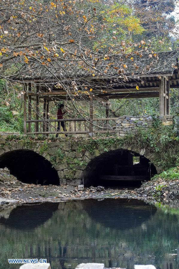 Photo taken on Nov. 22, 2012 shows the scenery in the Xiaochehe wetland of Guiyang, capital of southwest China's Guizhou Province. (Xinhua/Ou Dongqu) 