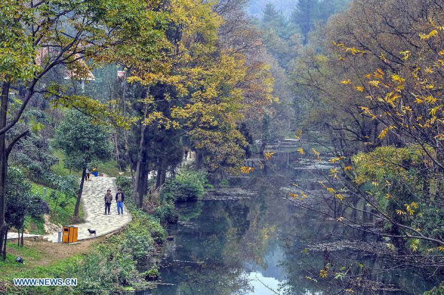 Photo taken on Nov. 22, 2012 shows the scenery in the Xiaochehe wetland of Guiyang, capital of southwest China's Guizhou Province. (Xinhua/Ou Dongqu) 