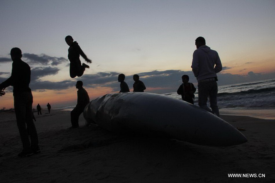 Palestinians children play around what appears to be a part of an aircraft, which was washed ashore near Rafah, in the southern Gaza Strip, on Nov. 26, 2012. Hamas media outlets claimed that a part of an Israeli F-16 was brought down by militants and washed up on shore. (Xinhua/Khaled Omar)