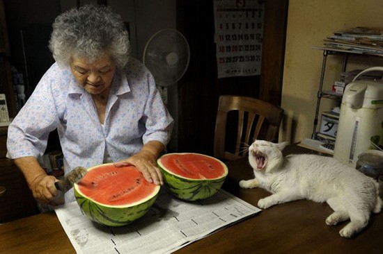 By Japanese photographer Miyoko Ihara. Photos are from her album "Misao the Big Mama and Fukumaru the Cat."