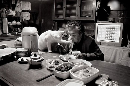 By Japanese photographer Miyoko Ihara. Photos are from her album "Misao the Big Mama and Fukumaru the Cat."