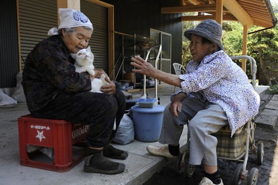 By Japanese photographer Miyoko Ihara. Photos are from her album "Misao the Big Mama and Fukumaru the Cat."