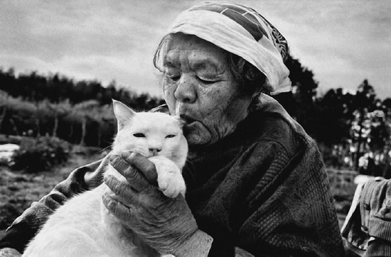 By Japanese photographer Miyoko Ihara. Photos are from her album "Misao the Big Mama and Fukumaru the Cat."