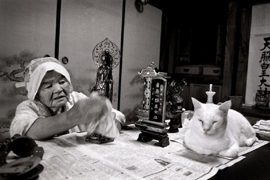 By Japanese photographer Miyoko Ihara. Photos are from her album "Misao the Big Mama and Fukumaru the Cat."