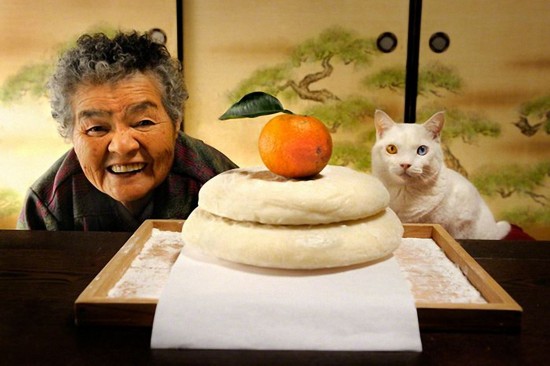 By Japanese photographer Miyoko Ihara. Photos are from her album "Misao the Big Mama and Fukumaru the Cat."