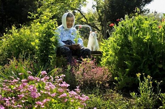 By Japanese photographer Miyoko Ihara. Photos are from her album "Misao the Big Mama and Fukumaru the Cat."