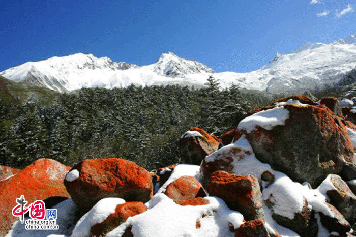 The photo shows the unique spectacle of red stones in the Hailuo Valley, at the foot of the Gongga snow-topped peak, which situates on the eastern hillside of Gongga Mountain at the eastern edge of the Qinghai-Tibetan Plateau. The red material on the stones is a kind of primitive algae. The valley is known as the "No.1 red stone rapid in the world". (China.org.cn)