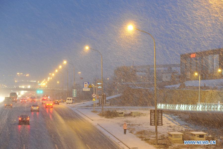 Photo taken on Nov. 30, 2012 shows the snowy scenery on Huabei Road in Dalian City, northeast China's Liaoning Province. A snowfall hit Dalian City on Friday. (Xinhua/Liu Debin)  