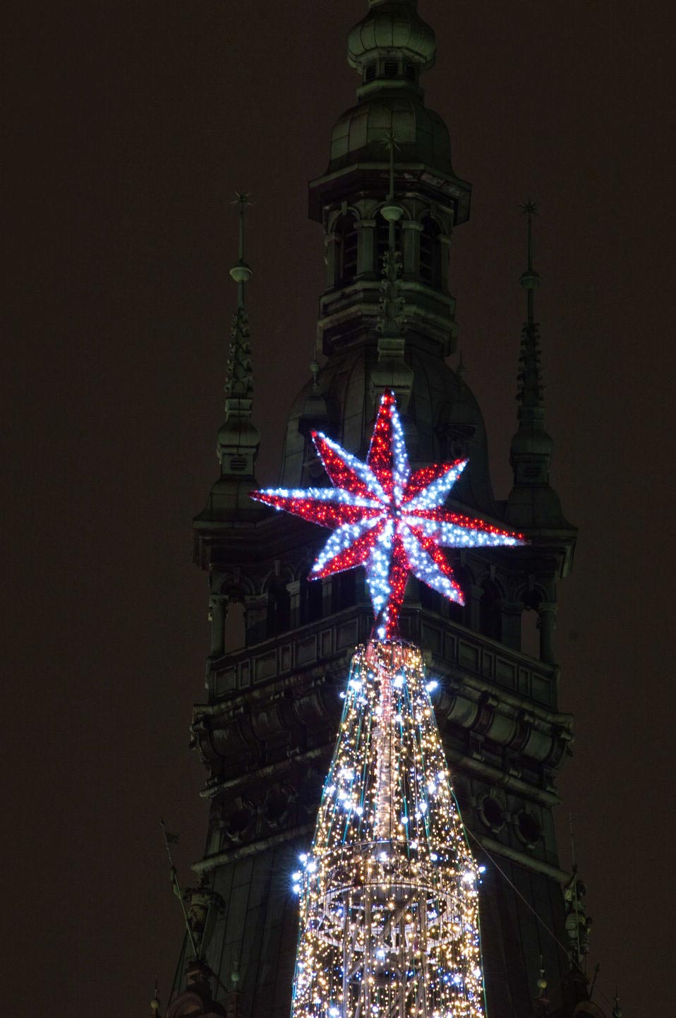 The Christmas market in Hamburg, Germany on November 29, 2012. Hamburg has shaken off its wartime damage to emerge into a glorious present. (Provided to People's Daily Online)