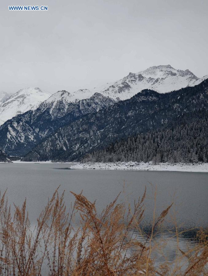 Photo taken on Dec. 1, 2012 shows the scenery of the Tianchi Scenic Zone in the Tianshan Mountains, northwest China's Xinjiang Uygur Autonomous Region. The Tianchi Ice and Snow Festival kicked off at the scenic spot on Saturday. (Xinhua/Yu Tao)