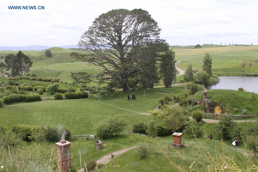 Photo taken on Nov. 29, 2012 shows the Hobbit movie's filming location at Hobbiton on the Alexander family farm near New Zealand's north island town of Matamata. The film set of "The Hobbit: An Unexpected Journey" is such fantastic in the rolling countryside that closely resembled the "Shire" in the popular classics by J.R.R Tolkien, attracting a lot of fans and tourists. (Xinhua/Liu Jieqiu)