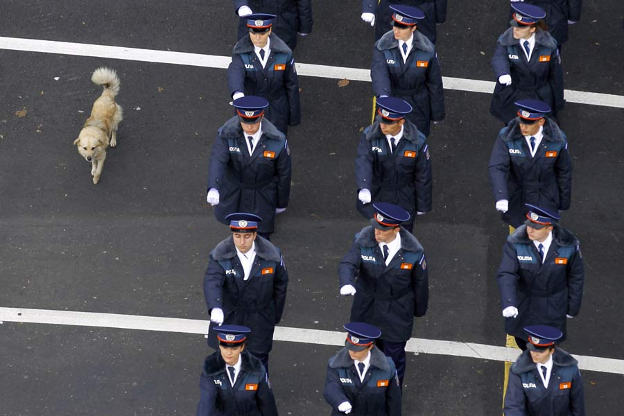 A stray dog walks next to soldiers marching under the Arch of Triumph during a military parade to celebrate Romania's National Day in central Bucharest December 1, 2012. (Xinhua/Reuters Photo)