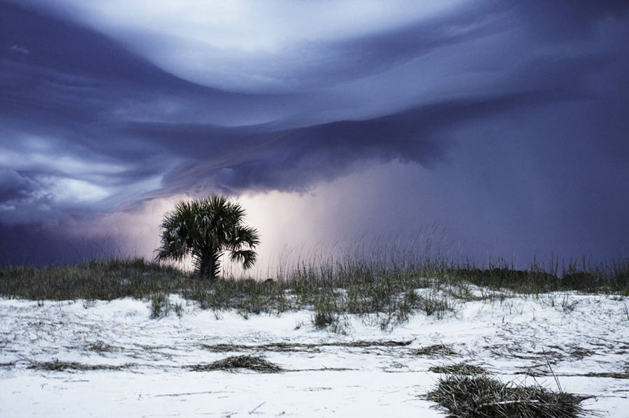 “Blizzard”: The seashore under the blizzard, a view of silence. (Photo/Xinhua)