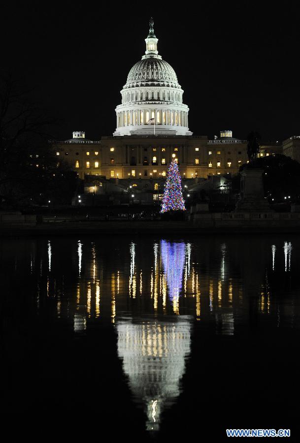 The 2012 Capitol Christmas Tree is lit at the West Front Lawn of the Capitol Hill in Washington D.C., capital of the United States, Dec. 4, 2012. This year's tree, a 65-foot Engelmann spruce, is from the White River National Forest in Colorado. The U.S. Capitol Christmas Tree has been a tradition since 1964. (Photo/Xinhua)