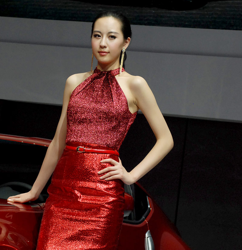 Fresh beauty at Int'l Motor Show in Guangzhou (5)