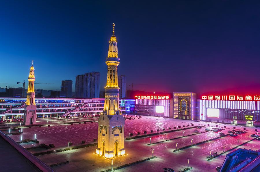 Photo taken on Nov. 26, 2012 shows the night scene of Yinchuan, capital of northwest China's Ningxia Hui Autonomous Region. (Xinhua/Wang Peng) 