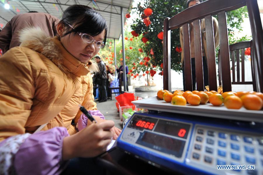 A woman weighs cumquat during a contest for cumquat in Dajiang Town of Rong'an County, Liuzhou City, south China's Guangxi Zhuang Autonomous Region, Dec. 10, 2012. Cumquat planting has become a major income source for local farmers in Rong'an. (Xinhua/Liu Jun)