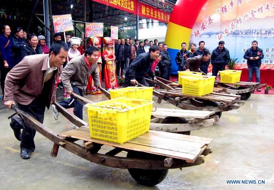 People take part in a contest for carrying cumquat in Dajiang Town of Rong'an County, Liuzhou City, south China's Guangxi Zhuang Autonomous Region, Dec. 10, 2012. Cumquat planting has become a major income source for local farmers in Rong'an. (Xinhua/Liu Guangming)