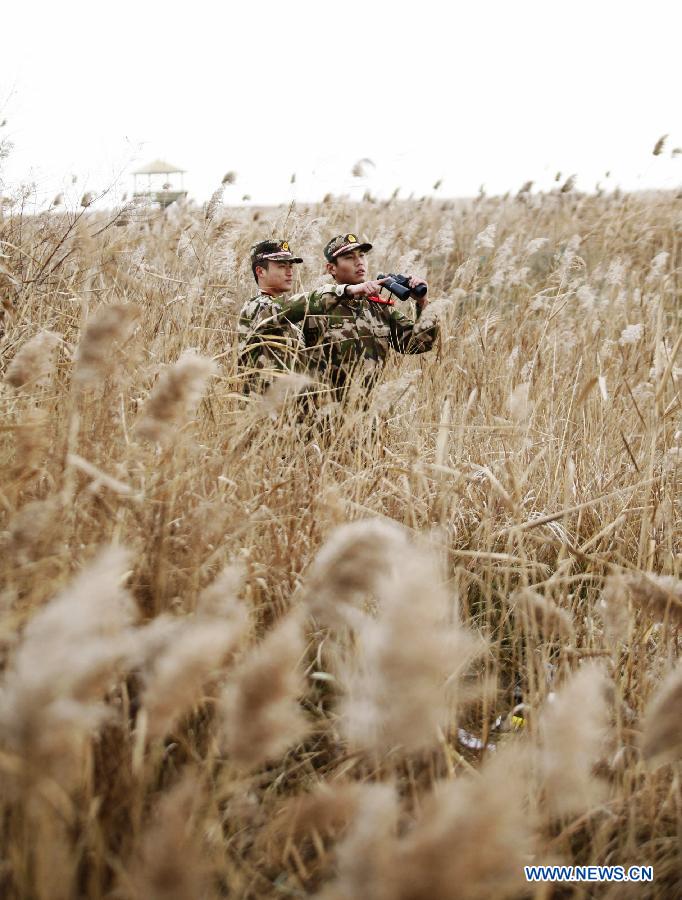 Soldiers from Yancheng border detachment patrol the wetlands at national nature reserve of rare birds in Yancheng, east China's Jiangsu Province, Dec. 11, 2012. The reserve was set to protect rare birds such as red-crowned cranes since 1980s. Over the past 30 years, soldiers here have been protecting the rare birds and wetlands. (Xinhua/Zhang Shanyu) 