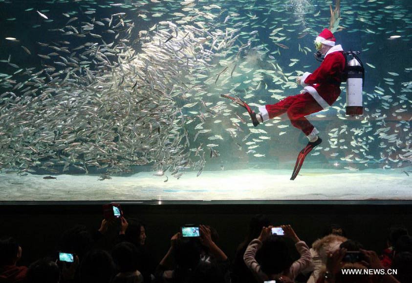 A South Korean diver wearing a Santa Claus costume greets visitors as he swims with sardines at the Coex Aquarium in Seoul, South Korea, Dec. 11, 2012. (Xinhua/Park Jin-hee)