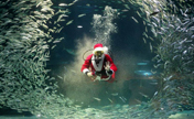 Scuba diving Santa Claus in Seoul 