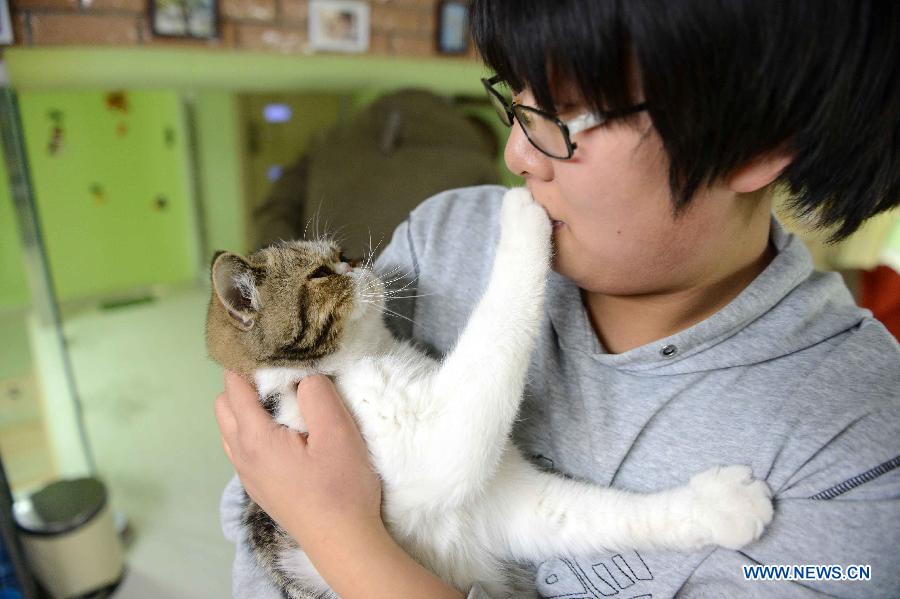 Shopkeeper Gao Ming plays with a cat at her cat-themed coffee bar in Harbin, capital of northeast China's Heilongjiang Province, Dec. 13, 2012. (Xinhua/Wang Kai)