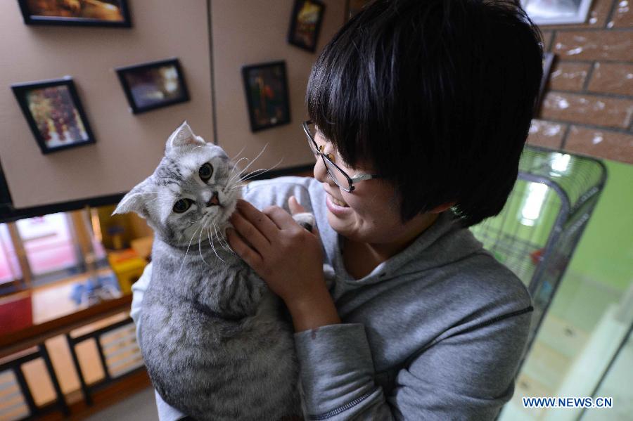 Shopkeeper Gao Ming plays with a cat at her cat-themed coffee bar in Harbin, capital of northeast China's Heilongjiang Province, Dec. 13, 2012. (Xinhua/Wang Kai)