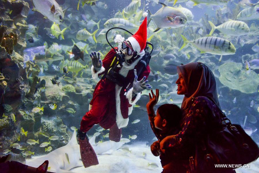 A diver wearing a Santa Claus costume greets visitors as he swims with fishes at an aquarium in Kuala Lumpur, Malaysia, Dec. 14, 2012. (Xinhua/Chong Voon Chung) 