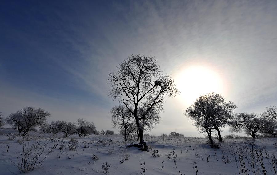 Photo taken on Dec. 17, 2012 shows the scenery of rime in Zhenglan Banner of north China's Inner Mongolia Autonomous Region. (Xinhua/Ren Junchuan)