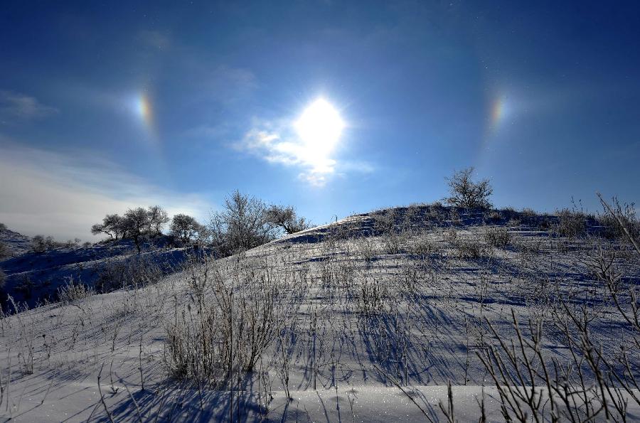 Photo taken on Dec. 17, 2012 shows the scenery of rime in Zhenglan Banner of north China's Inner Mongolia Autonomous Region. (Xinhua/Ren Junchuan)