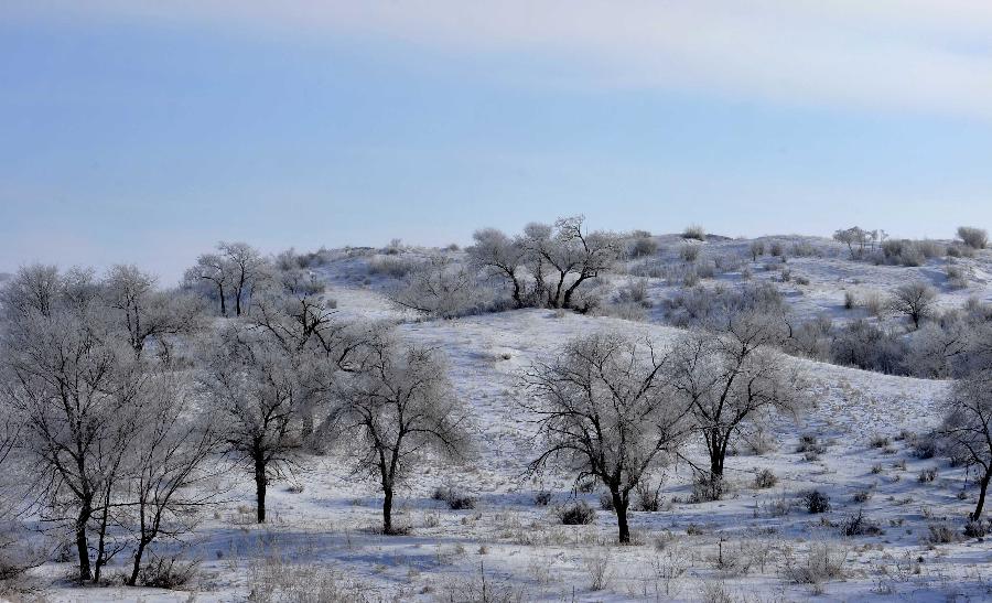 Photo taken on Dec. 17, 2012 shows the scenery of rime in Zhenglan Banner of north China's Inner Mongolia Autonomous Region. (Xinhua/Ren Junchuan)