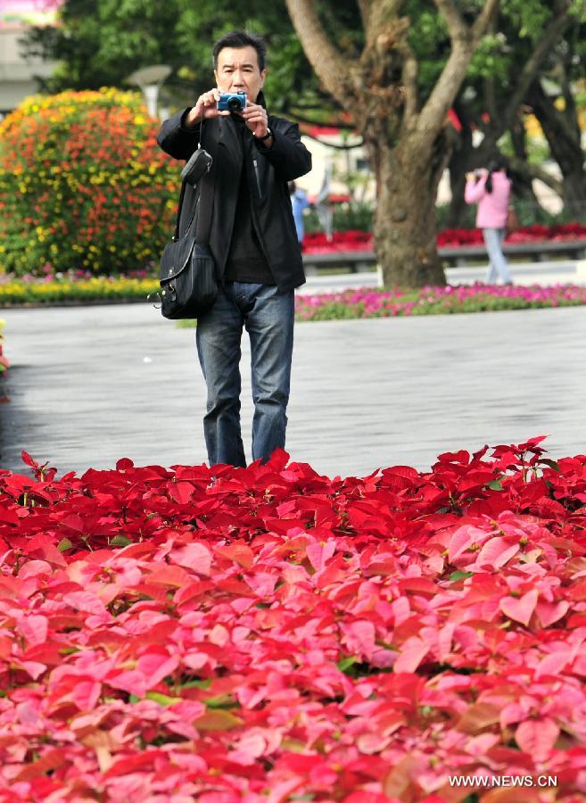 A visitor takes a photo of the gardening works at Taipei International Flower Exhibition 2012 in Taipei, southeast China's Taiwan, Dec. 20, 2012. The flower exhibition will formally kick off in Tapei on Dec. 22. (Xinhua/Wu Ching-teng) 