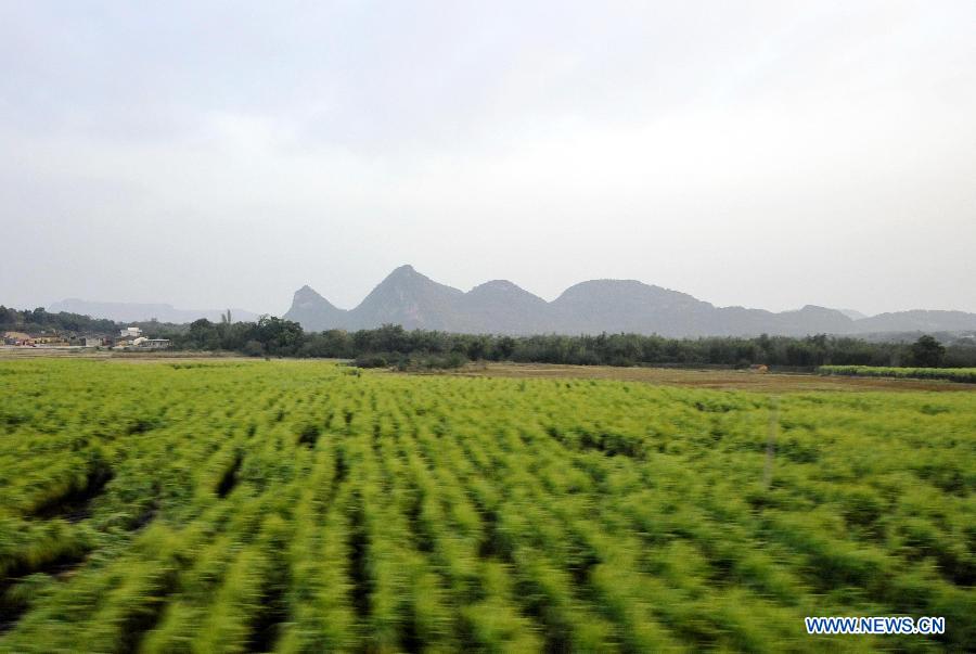 Photo taken on Dec. 23, 2012 shows the scenery outside the window of G79 express train during a trip to Guangzhou, capital of south China's Guangdong Province.  (Xinhua/Chen Yehua)