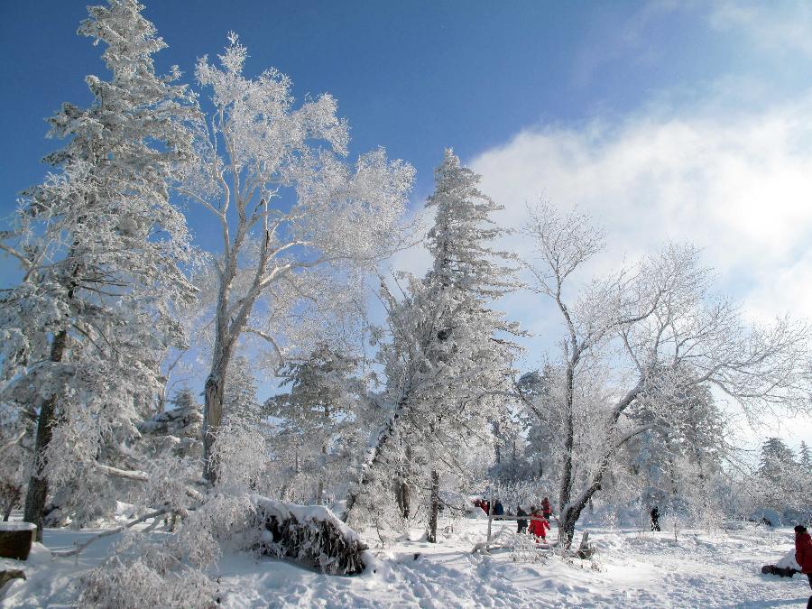 Photo taken on Dec. 22, 2012 shows the rime scenery in Jilin City, northeast China's Jilin Province. (Xinhua) 