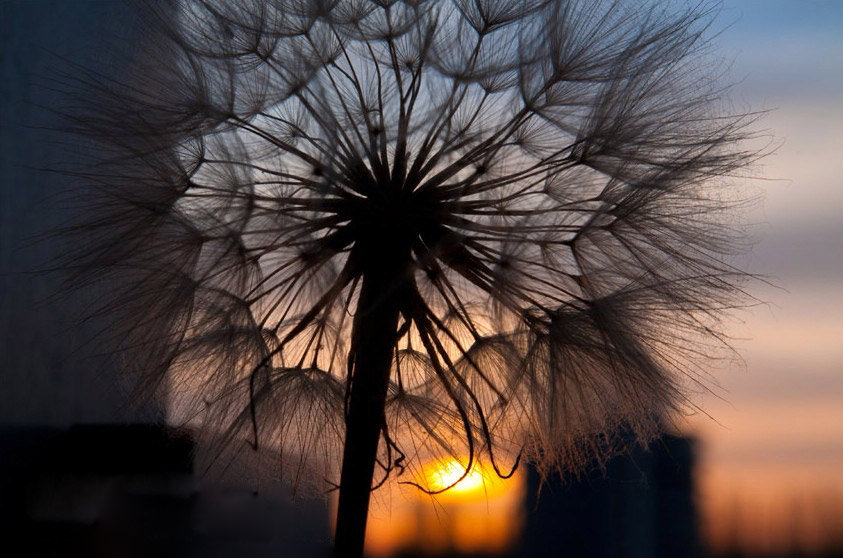 Sunrise in Beijing, China. (Photo/CRI Online)