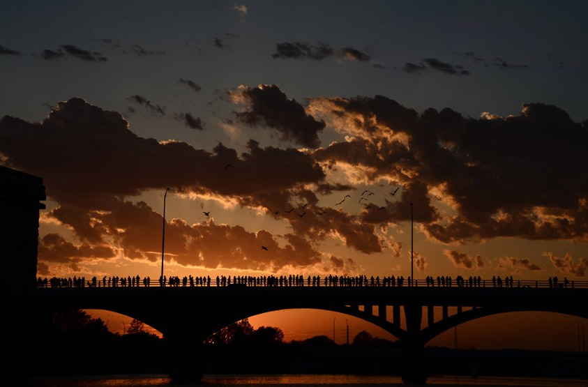 The bats in Texas, U.S. The Mexican free-tailed bat is the official state bat of both Oklahoma and Texas. (Photo/CRI Online)