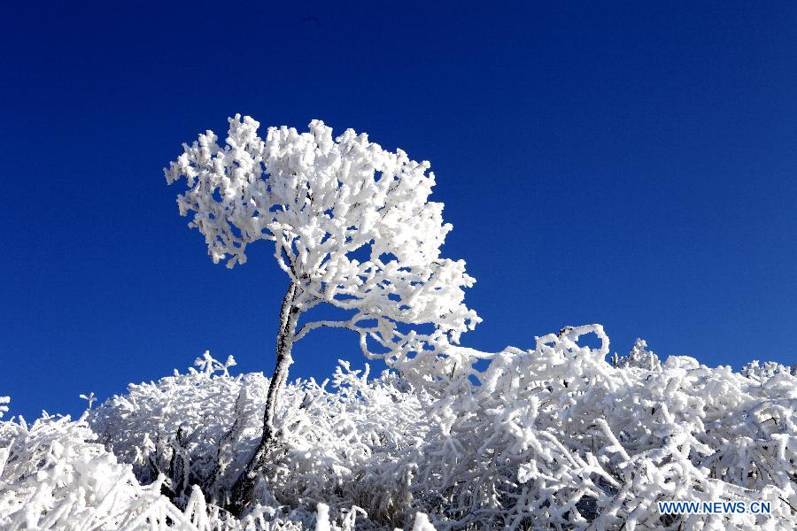 Photo taken on Feb. 3, 2012 shows a scenery of the Tiepi Mountain with an altitude of 3,800 meters, in Baoxing County of Ya'an, southwest China's Sichuan Province. (Xinhua/Guo Wenyao)