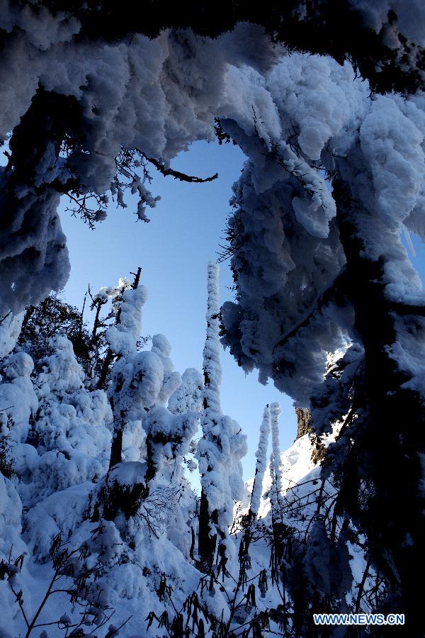 Photo taken on Dec. 31, 2011 shows a scenery of the Tiepi Mountain with an altitude of 3,800 meters, in Baoxing County of Ya'an, southwest China's Sichuan Province. (Xinhua/Guo Wenyao)