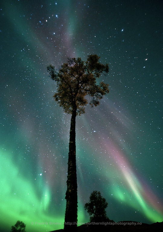 September's Aurora.September's equinox arrives tomorrow as the Sun crosses the celestial equator heading south. The event marks the astronomical beginning of spring in the southern hemisphere and autumn in the north. (NASA/ Fredrick Broms)