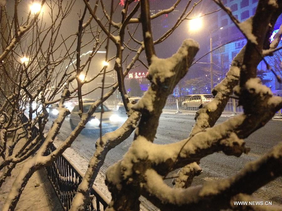 Photo taken on Dec. 28, 2012 shows snow-covered tree branches on Guang'anmennei Street in Beijing, capital of China. A snowfall hit Beijing on Friday evening. (Xinhua/He Guang) 