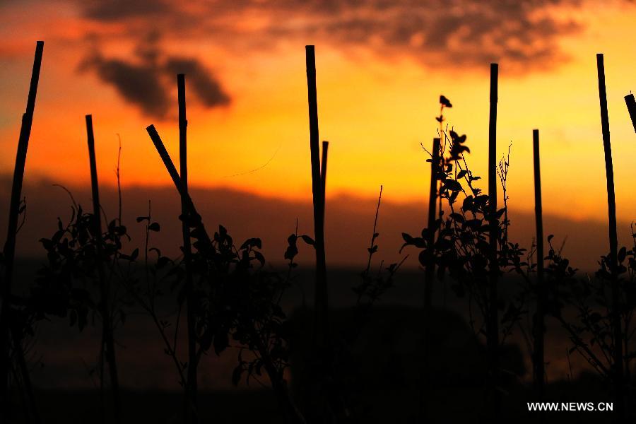 Photo taken on Dec. 27, 2012 shows the sunset scene in Kenting Park in Pingtung County, southeast China's Taiwan. At the southernmost end of Taiwan island, Kenting Park is surrounded by water on three sides. It faces the Pacific in the east, the Taiwan Strait in the west and the Bashi Channel in the south. (Xinhua/Xing Guangli)