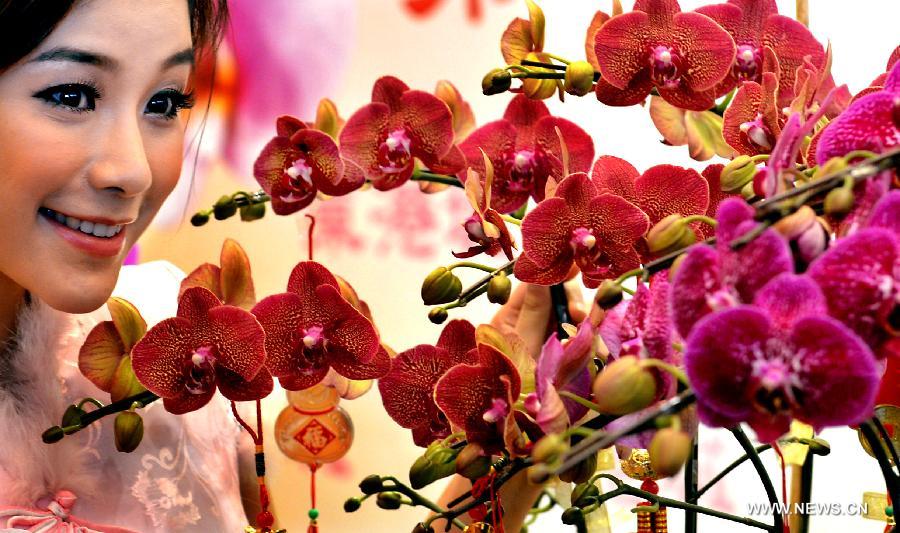 A model presents flowers at a press conference aimed at promoting the upcoming Seventh Hong Kong Lunar New Year Flower Market in Hong Kong, south China, Jan. 2, 2013. The flower market is to kick off on Jan. 25, 2013. (Xinhua/Chen Xiaowei)  